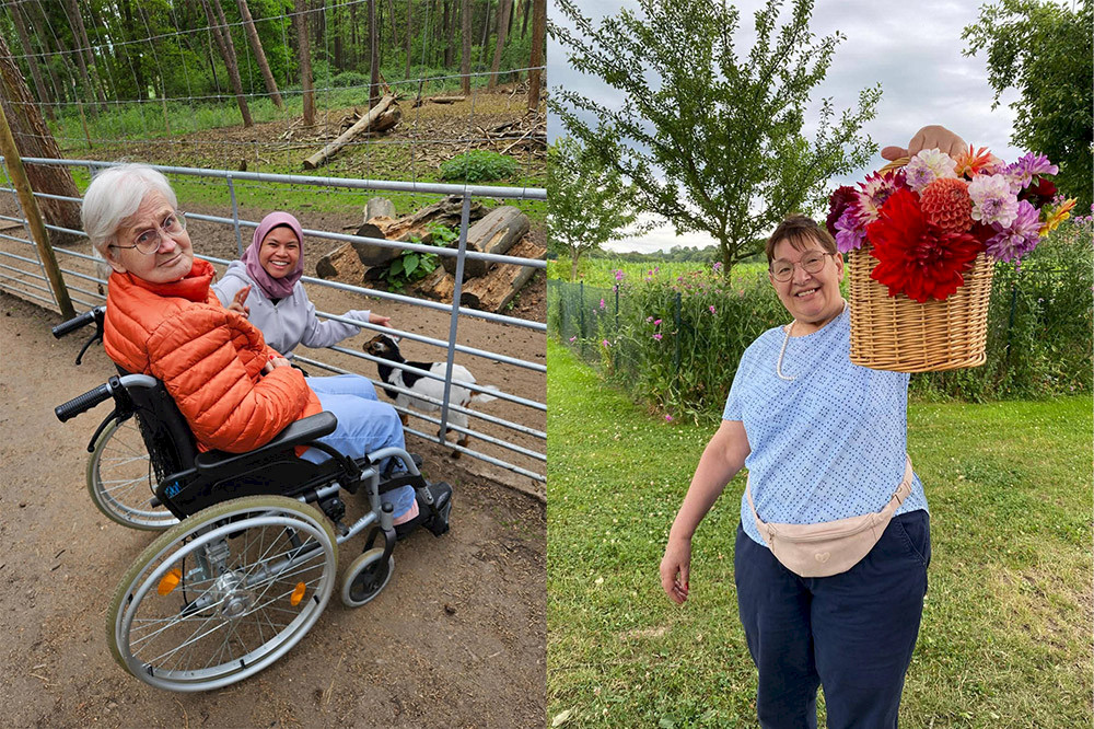 Bild zeigt Personen bei einem Ausflug in den Tierpark und auf einer Wiese.